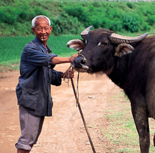 小型飼料顆粒機(jī),農(nóng)民圓夢(mèng)！